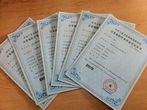 鎮(zhèn)江軟著申請電話(軟著可以自己申請嗎)