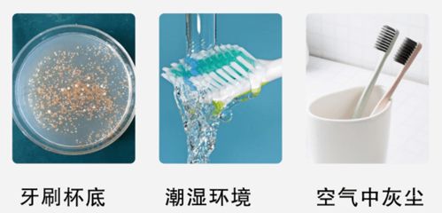 紫外線牙刷消毒器專利,紫外線牙刷消毒器騙局