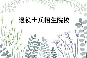 軟著項(xiàng)目難不難(大學(xué)生申請軟著難嗎)