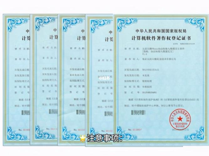 軟著機(jī)構(gòu)沒代碼(軟著代碼審批時會看嗎)