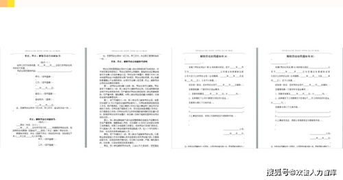 申請(qǐng)軟著使用手冊(cè)要寫多少(軟著申請(qǐng)說明書模板)