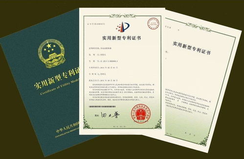 申請公布專利(專利申請公布的法律后果)