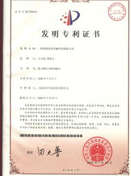 設計專利侵權申訴_設計專利侵權申訴書