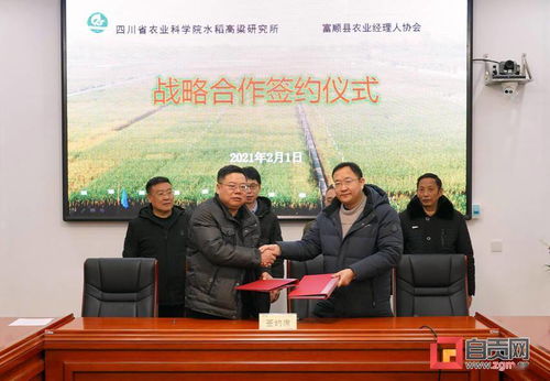 吳悅專利四川農(nóng)業(yè)大學(xué),四川農(nóng)業(yè)大學(xué)吳雨珊